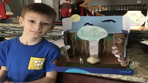 Photograph of Boy with Animal Habitat design challenge