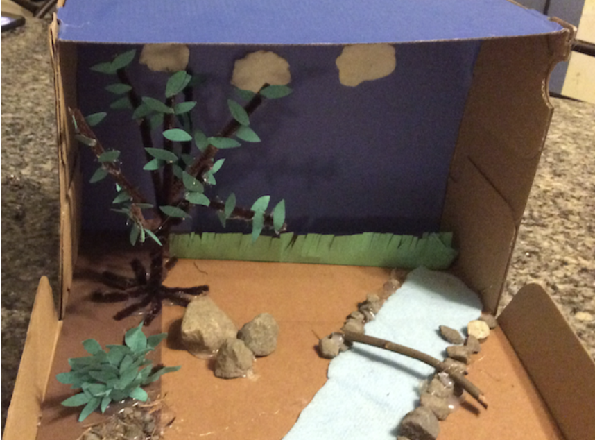 Photograph of Animal Habitat design challenge Photograph of Animal Habitat design challenge